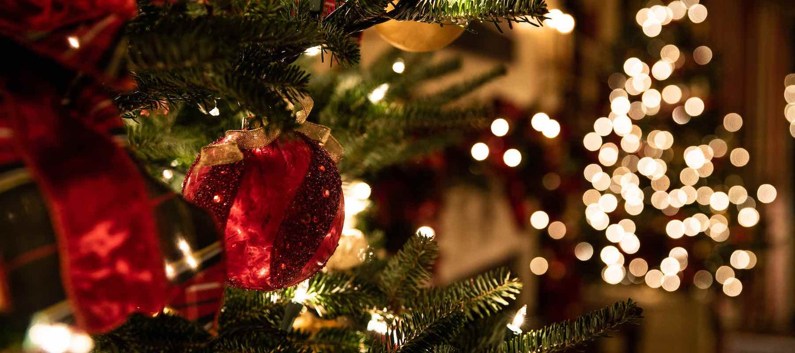 A Very Sherry Whiskymas! December 2022 Box